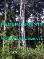 Remerciements
