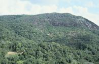 Inselberg