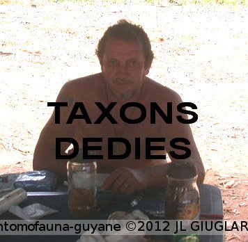 Taxons dédiés